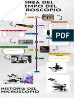 Infografia Línea Del Tiempo Historia Timeline Doodle Multicolor