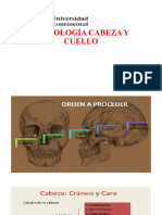 Semiología 3 Cabeza y Cuello