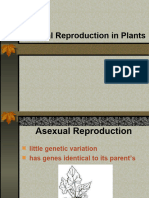 Asexual Reproduction in Plants