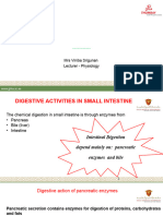 Intestinal Phase of Digestion and Absorption