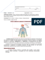 6 Ano Caderno4 Semana 4 o Sistema Nervoso 1 PDF