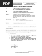 Informe Situacional Cmi Virgen Del Carmen