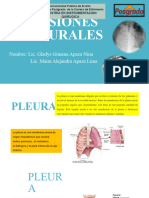 Lesiones Pleurales ...