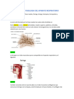 Resumen Apa - Resp-532-08