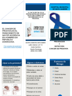 Brochure CANCER DE PROSTATA