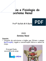 Aula 5 - Sistema RENAL