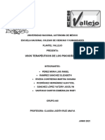 Usos Terapéuticos de Los Psicodélicos