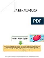 Copia de Injuria Renal Aguda