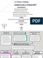 Organizador Visual - Observacion Psicologica