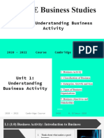Unit IGCSE Understanding Business Activity 0450 Cambridge Business Studies