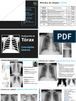 SESIÓN 04 - Parte 1 - Tórax PDF