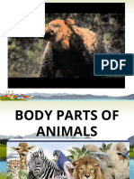 1 - Body Parts of Animals