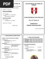 Liga Provincial Boletin 06