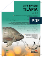 42 Piscicultura Tilapia Genetica