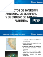 2009-04-28 - Proyectos de Inversión Ambiental y EIA