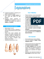 Anatomia Dental - Incisivos