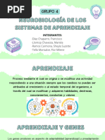 Neurobiología de Los Sistemas de Aprendizaje - Presentación Grupo 4 (D) - 2022