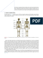 1.1 Bone Function: 2 Osteoarchaeology