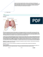 Cardiovascular System