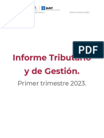 Informe Tributario y de Gestion