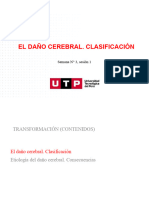 S03.s1 - Daño Cerebral. Clasificación.