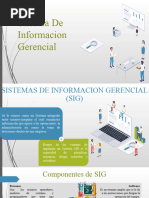 Sistemas de Informacion Gerencial 