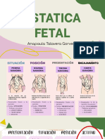 3° Semana de Rotación Obstetricia Dr. Montes