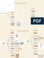 Gametogênese e Fluxo Embrionário