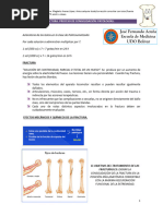 4.-Proceso de Consolidacion Lour