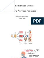 Bases SNC e SNP - Aula 1