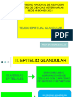 Clase 8 Tejido Epitelial Glandular