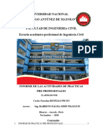 Informe PPP