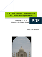 TCA Cycle, ETC, and Oxidative Phosphorylation