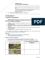 SCIENCE 7 - QUARTER 2 - WEEK 5 - WORKSHEET 1 - Vegetative Propagation