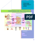 Apuntes Sistemas de Nutricion