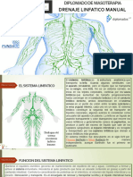 Diplomado Drenaje Linfatico