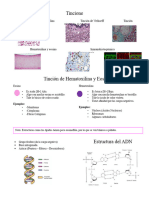 Histologia Tejido Epitelial