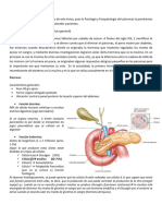 Fisiologia Del Páncreas