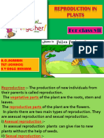 Plant Reproduction