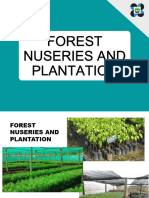 Forest Nurseries and Plantation