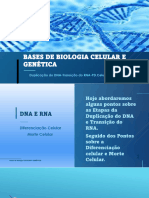 Diferenciação Celular e Morte Celular