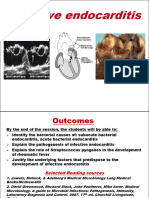 Infective Endocarditis-2023