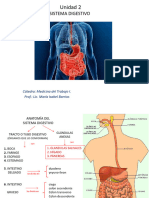 Unidad II. Sistema Digestivo