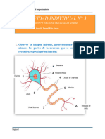 Actividad Individual