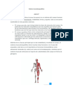 Sistema Musculoesquelético