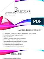 Aparato Cardiovascular 1