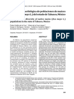 Diversidad Morfológica de Poblaciones de Maíces Nativos (Zea Mays L.) Del Estado de Tabasco, México