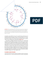 (Snustad 2016) Plasmid, Episome, Transposable Elements, and Extrachromosomal Inheritance