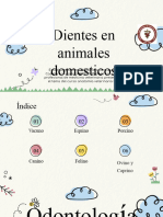 Dientes de Los Animales