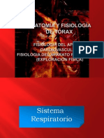 Anatomía y Fisiología Del Torax